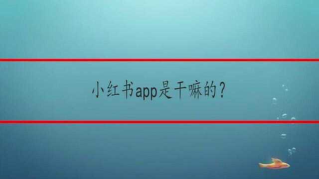 小红书app是干嘛的?