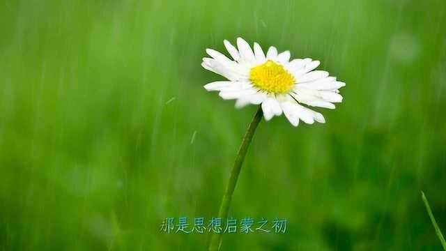 政良朗诵散文《秋雨》