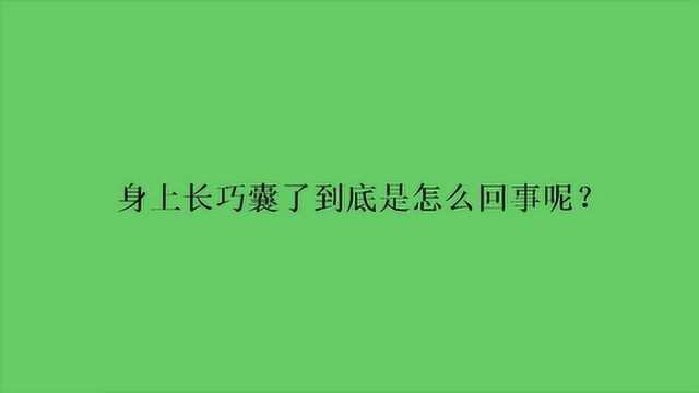 身上长巧囊了到底是怎么回事呢?