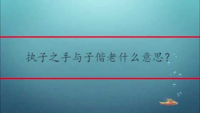 执子之手与子偕老什么意思?