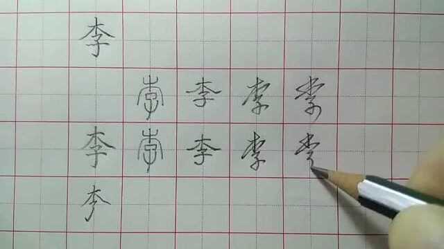 百家姓的李字,注意撇捺的伸展,子的竖弯钩要取竖式