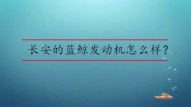 长安的蓝鲸发动机怎么样?