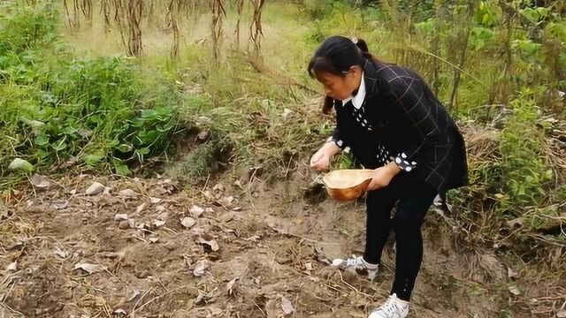 种豌豆和蚕豆少不了这种肥,大嫂把上面放这种东西,生出来的苗更壮