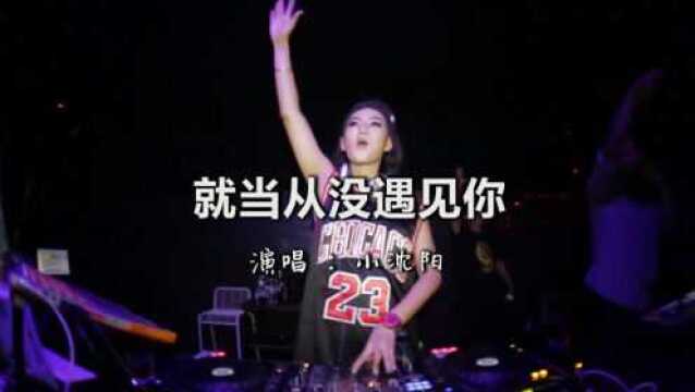 一首DJ《就当从没遇见你》难舍难离 ,超好听!