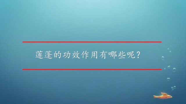 莲蓬的功效作用有哪些呢?