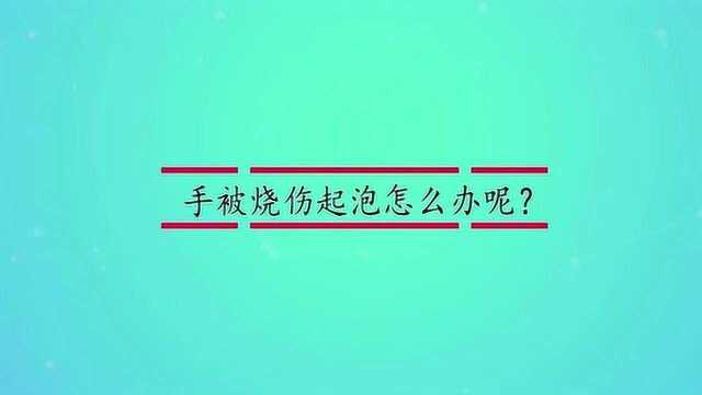 手被烧伤起泡怎么办呢?