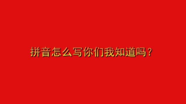 拼音怎么写你们我知道吗?