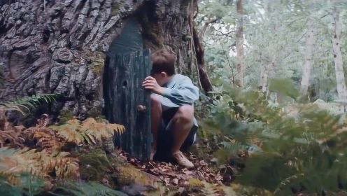 小男孩无意中发现一个神秘树洞，只要钻进去，就能到达另一个世界