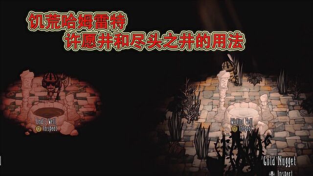 饥荒哈姆雷特攻略:许愿井和尽头之井用法,恢复血量和无限获得紫宝石的方法