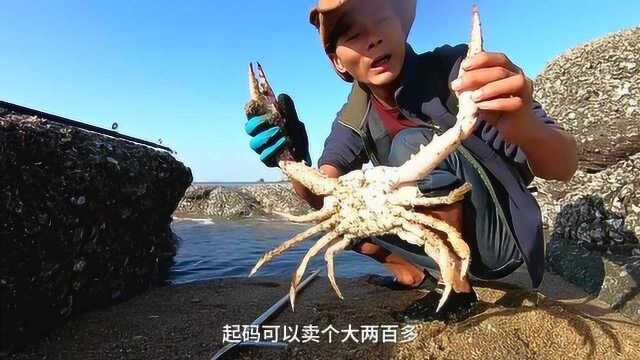 小囿清早赶海抓到大货,拿到饭店招待九囿,两人不经意间确定关系