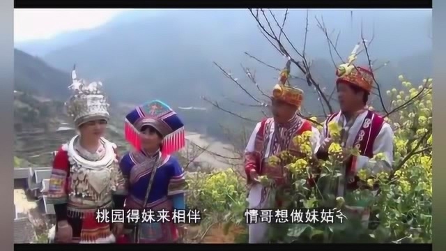 山歌:桃园得妹来相伴,情哥想做妹姑爷