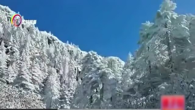 白雪覆盖下的轿子山,风景美如画, 赏雪正当时