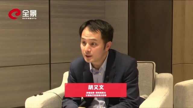 安信证券胡又文:2019年将成中国科技史上的里程碑