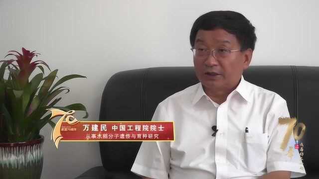 院士专访丨万建民:严说求实