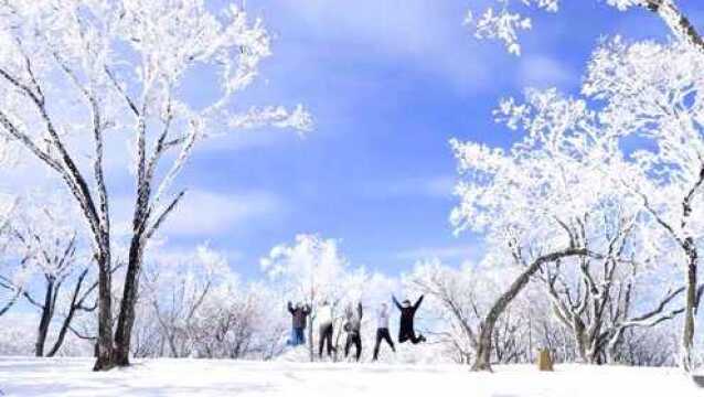 洛阳栾川县伏牛山雪景美如画