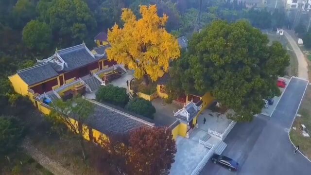 这里是无锡 无锡龙寺生态园 灵官殿古银