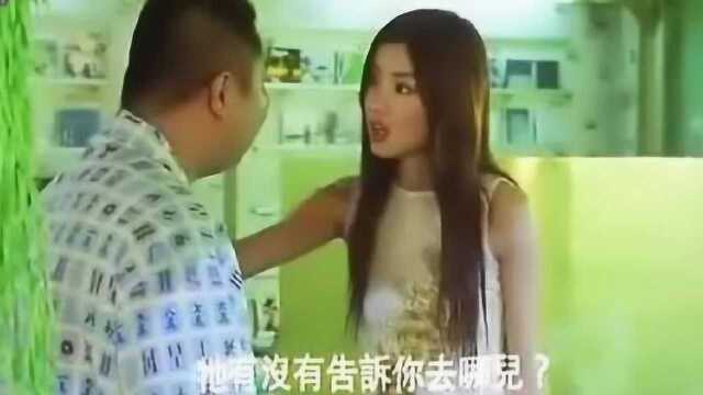 美女说,猫咪叫几声有含义的,你家猫咪对你叫几声呢?