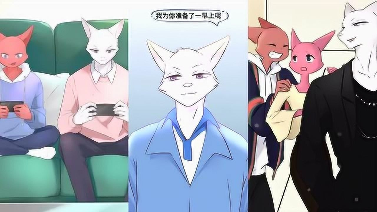 白狐沈珂珂精选:堂堂,我似乎喜欢上你姐了!_腾讯视频