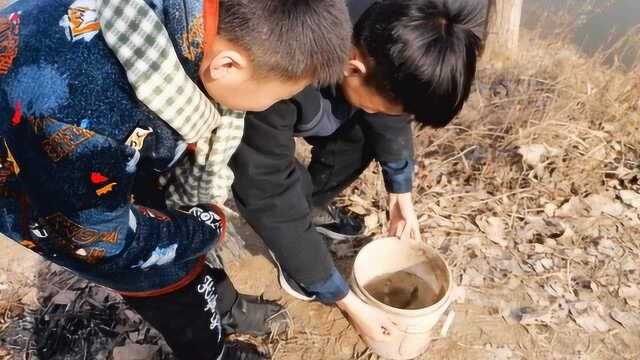 农村四个小伙来惠济河钓鱼,水深河宽鱼多风景好,收获意想不到