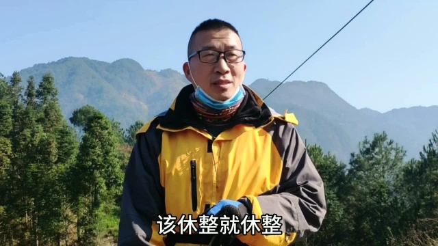 疫情期间不串门,小火扛锄去巡山,增强健体干“大事”