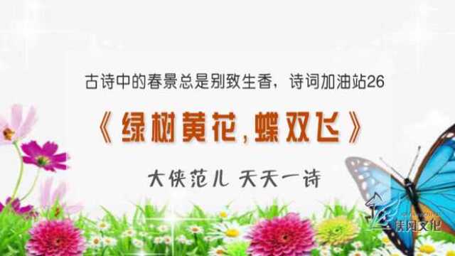 《绿树黄花,蝶双飞》古诗中的春景总是别致生香,诗词加油站26