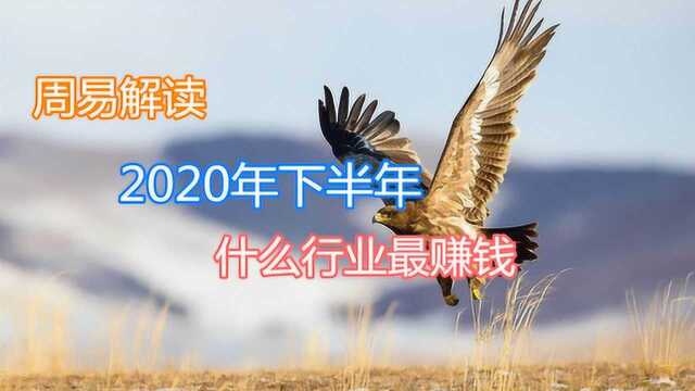 周易解读:2020年以后什么行业最赚钱?【缘吉阁庞泽川】