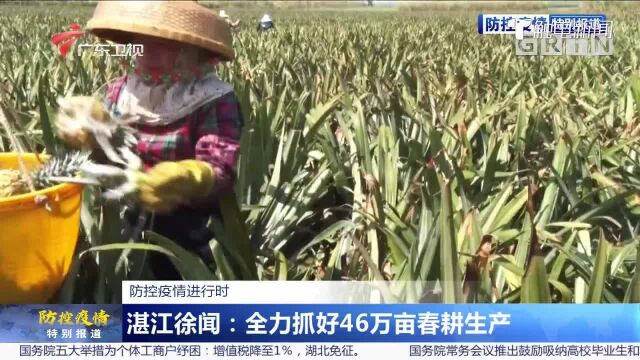 防控疫情进行时 湛江徐闻:全力抓好46万亩春耕生产