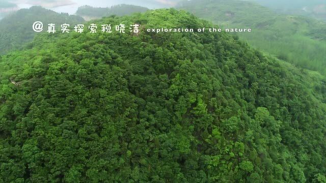 航拍沮漳河流域(汉江?)古山寨之朝阳寨1,湖北襄阳南漳县九集镇石门集村