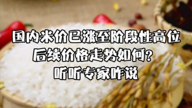 国内米价已涨至阶段性高位,后续价格走势如何?听听专家咋说