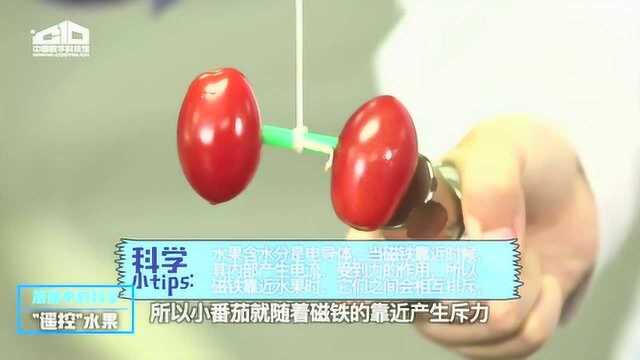 科学开动啦|一起做实验:遥控水果