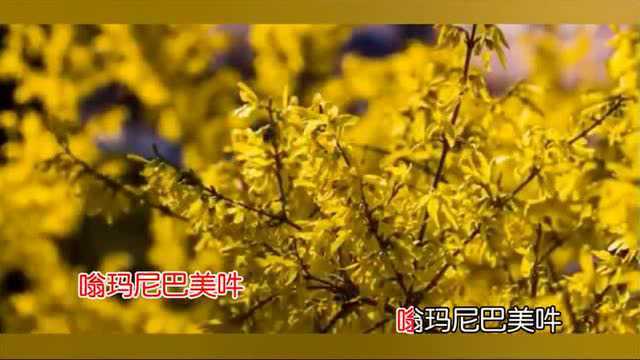 佛教歌曲《六字真言颂》