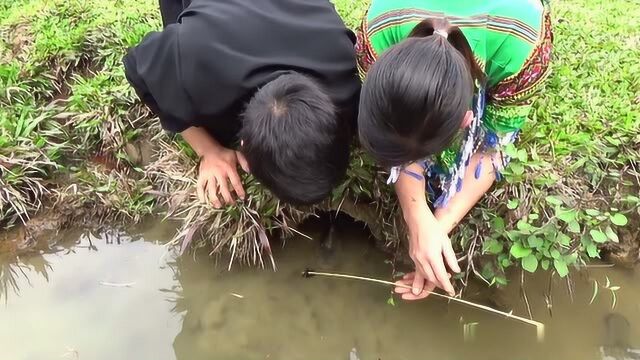 美女用木虫钓鱼,棍子挂木虫放鱼洞,徒手就抓了两条!