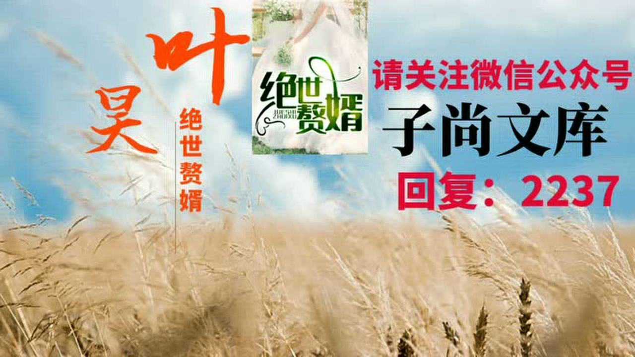 绝世赘婿叶昊郑漫儿狼牙土豆全集