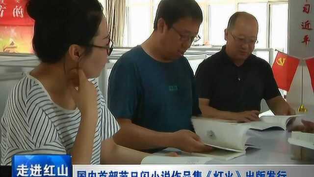 国内首部节日闪小说作品集《灯火》出版发行