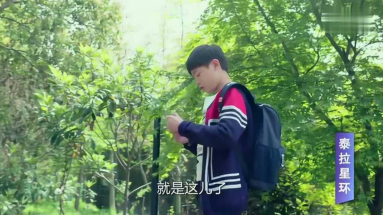 泰拉星环英男想要和小艾搭话但是又非常紧张