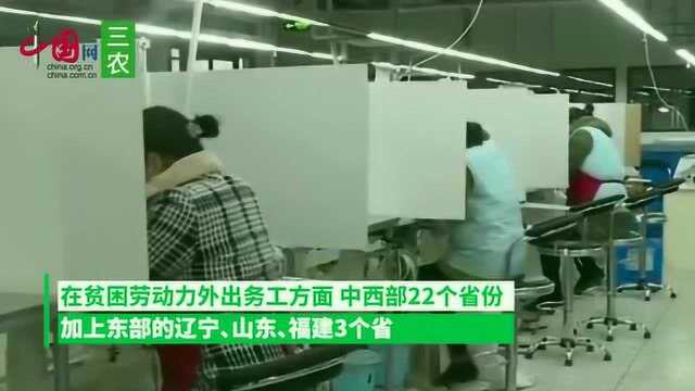 2603.79万人贫困劳动力外出务工!我国扶贫重点工作取得新进展