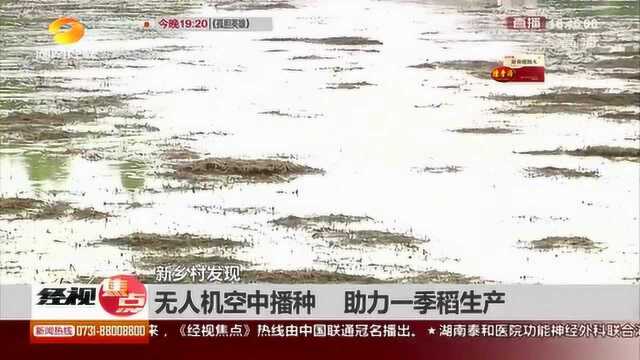 高科技助农!无人机空中播种 助力一季稻生产