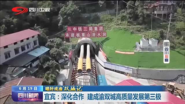 四川新闻丨宜宾:深化合作 建成渝双城高质量发展第三极