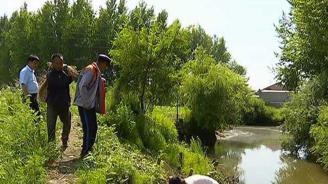 双阳区平湖街道:修复加固河堤 提升防洪能力