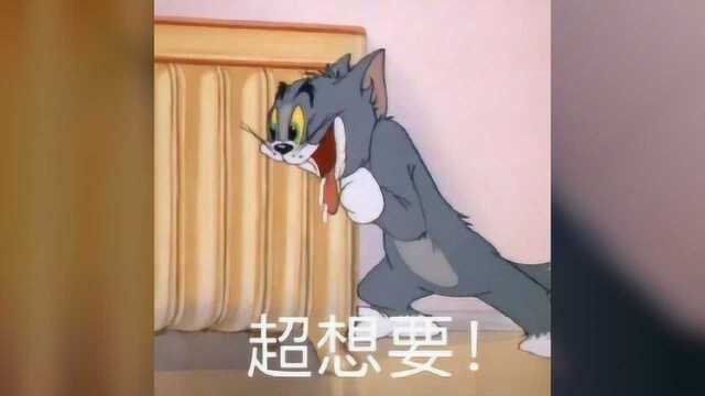 猫和老鼠表情包合集:不服你顺着网线来打我啊