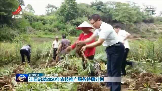 江西启动2020年农技推广服务特聘计划