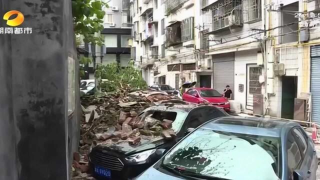 浏阳市梅花一路围墙突然垮塌 一排车被埋进砖堆里 元凶竟是大树