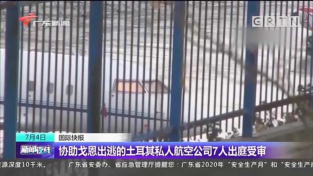 协助戈恩出逃的土耳其私人航空公司7人出庭受审