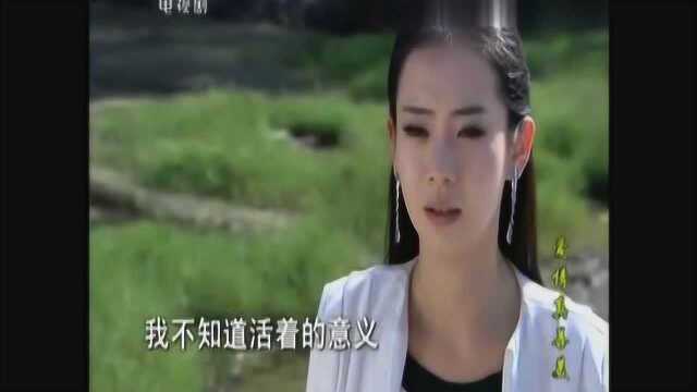 爱情真善美电视剧大结局