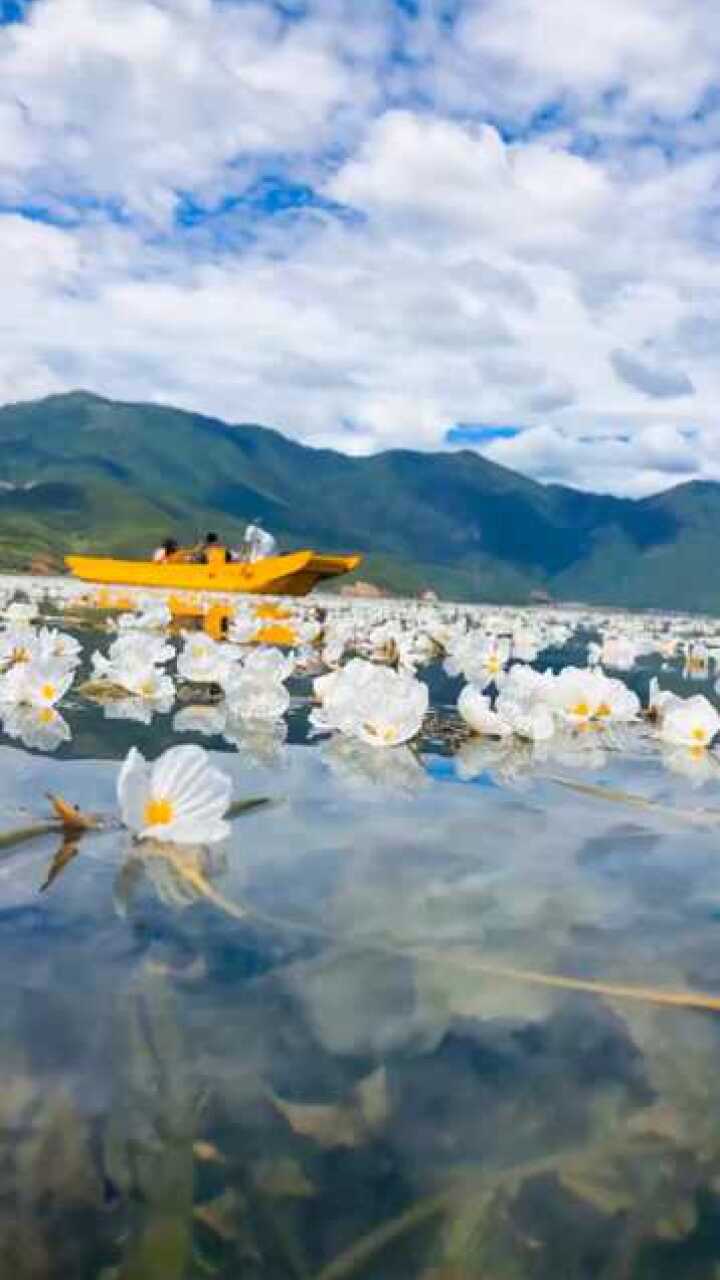 水中花镜中月