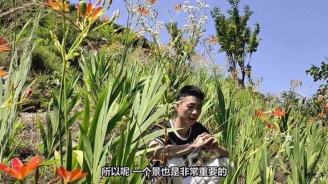 怎么拍好短视频?农村小伙为拍一个镜头,专门去取射干花为背景