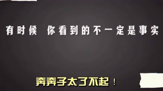 奔跑吧,押中了高考作文,北京和浙江卷的“一条信息”和“人生选择题”