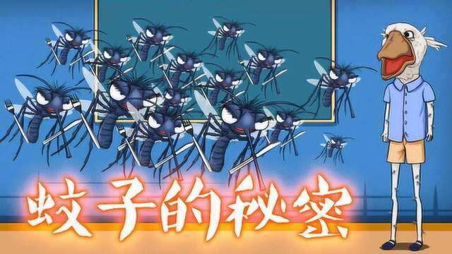 狗头冷知识:蚊子为什么偏爱你?蚊子:没错我就是馋你的身子!