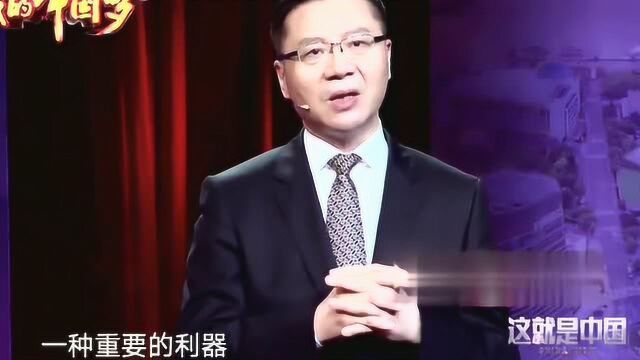 张维为:网络发展变快了字却便模糊了,没有汉字也不会发展这么快!