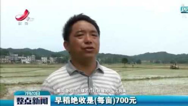 【行动起来 防汛救灾】鄱阳积极开展恢复生产